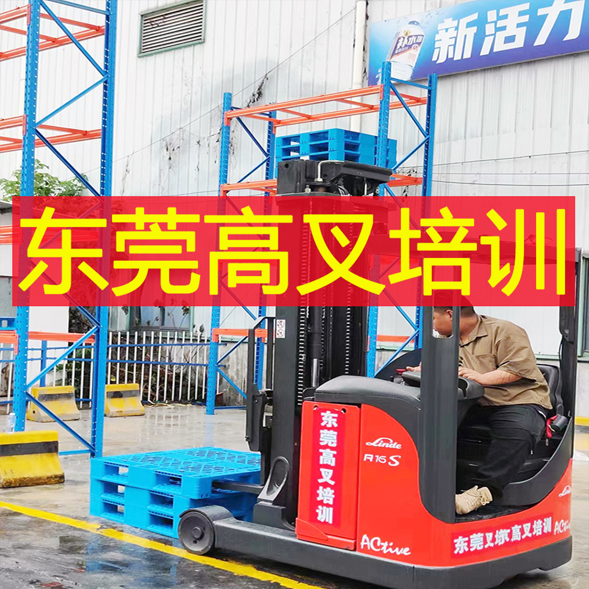 东莞哪里可以培训林德高叉，报名费多少钱？